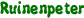Ruinenpeter