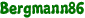 Bergmann86