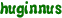 huginnus