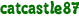 catcastle87