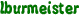 lburmeister