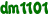 dm1101