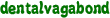 dentalvagabond