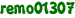 remo01307