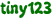 tiny123