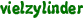 vielzylinder