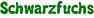 Schwarzfuchs
