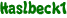 Haslbeck1