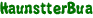 HaunstterBua