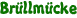 Brüllmücke