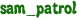 sam_patrol