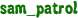 sam_patrol