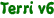 Terri v6