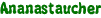 Ananastaucher