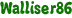 Walliser86