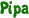 Pipa