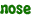 nose