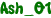Ash_O1