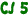 CJ 5