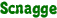Scnagge
